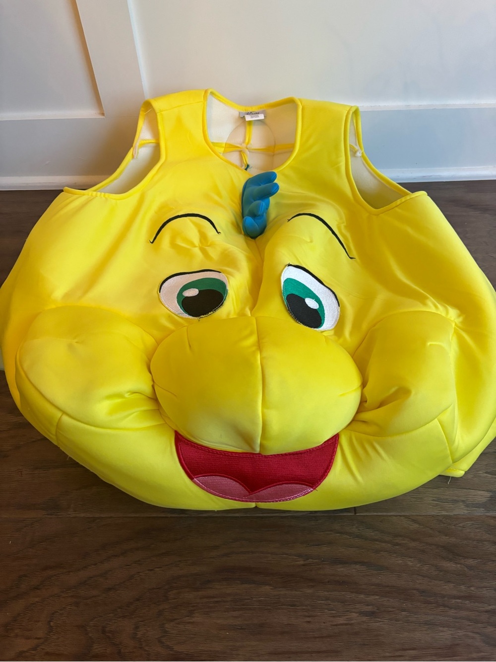 Disney Flounder Costume